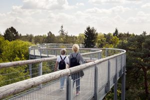 ©Baum&Zeit Baumkronenpfad Beelitz-Heilstätten Spaziergang Besucher Pfad Baumkronen