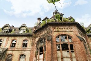 ©Baum&Zeit Baumkronenpfad Beelitz-Heilstätten KochKüche