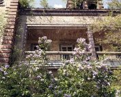 ©Baum&Zeit Baumkronenpfad Beelitz-Heilstätten Frühling Chirurgiegebäude Detail Flieder Südseite