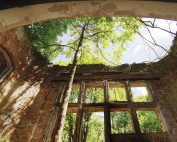 ©Baum&Zeit Baumkronenpfad Beelitz-Heilstätten Ruine Alpenhaus Speisesaal Erker mit Baum