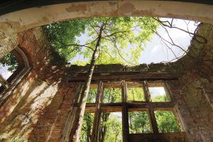 ©Baum&Zeit Baumkronenpfad Beelitz-Heilstätten Ruine Alpenhaus Speisesaal Erker mit Baum