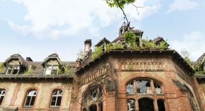 ©Baum&Zeit Baumkronenpfad Beelitz-Heilstätten KochKüche