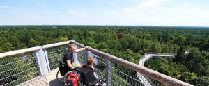 ©Baum&Zeit Baumkronenpfad Beelitz-Heilstätten Aussichtsturm Besucher barrierefrei Pfad Waldpark