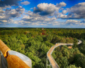 ©Baum&Zeit Baumkronenpfad Beelitz-Heilstätten Blick Aussichtsplattform über Ruine Alpenhaus mit Dachwaldund Pfad