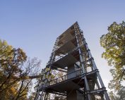 ©Baum&Zeit Baumkronenpfad Beelitz-Heilstätten Aussichtsturm