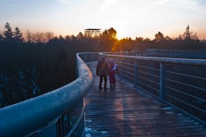©Baum&Zeit Baumkronenpfad Beelitz-Heilstätten Spaziergang Kinder mit Sonnenaufgang Pfad und Dachwald