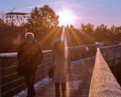 ©Baum&Zeit Baumkronenpfad Beelitz-Heilstätten Spaziergang auf dem Pfad bei Sonnenaufgang