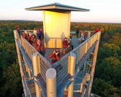 ©Baum&Zeit Baumkronenpfad Beelitz-Heilstätten Aussichtsturm im Waldpark