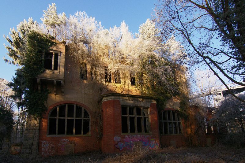 ©Baum&Zeit Baumkronenpfad BeelitzHeilstätten Ruine