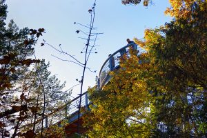©Baum&Zeit Baumkronenpfad Beelitz-Heilstätten Besucher auf Pfad Herbst
