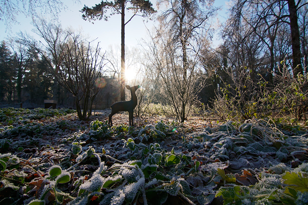 ©Baum&Zeit Baumkronenpfad Beelitz-Heilstätten Winter im Waldpark