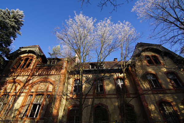 Die Waschküche – Baum und Zeit